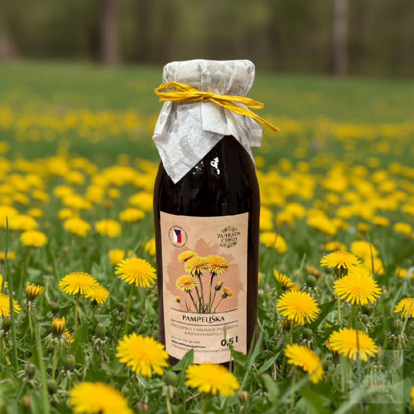 Pampeliška sirup - zahradachuti.cz