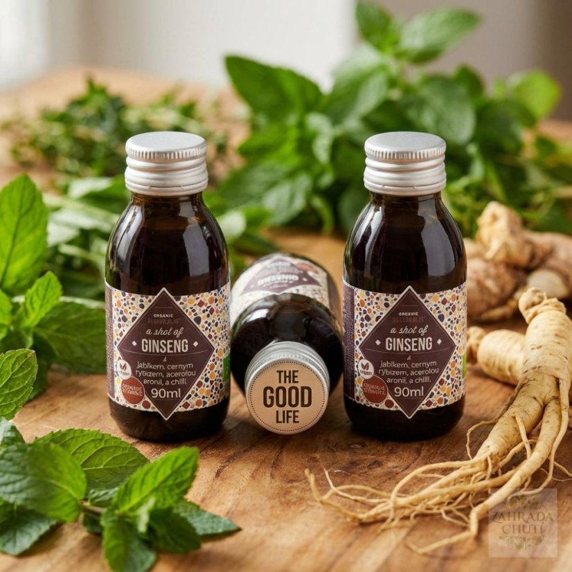 Organic Ginseng Shot BIO 90 ml Panax Ginseng - zahradachuti.com