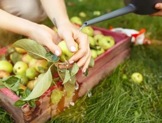 Kouzlo řemeslných sirupů, pečených čajů a marmelád
