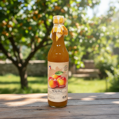 meruňka sirup - zahradachuti.com