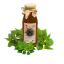 Kopřivový sirup - zahradachuti.com Kopřivový sirup - zahradachuti.com