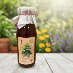Sirup meduňka - zahradachuti.com