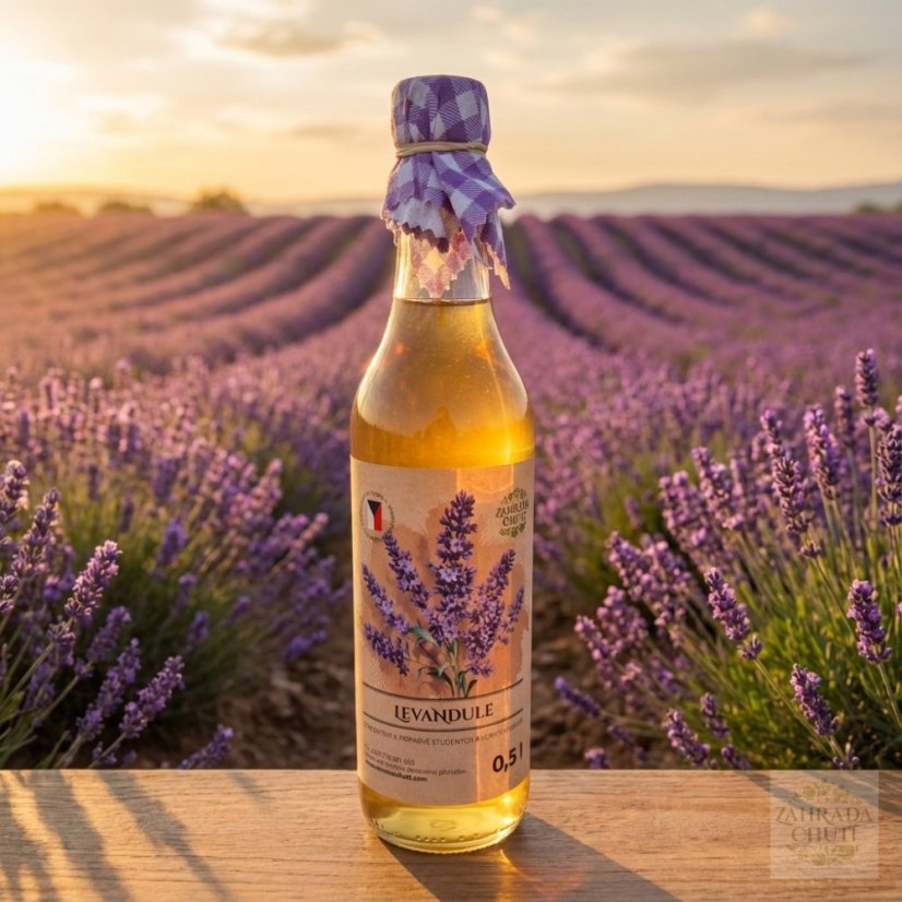 levandule sirup - zahradachuti.com