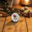 aloe vera s teqilou - zahradachuti.com