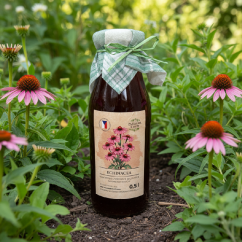 Sirup echinacea - zahradachuti.com