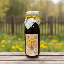 Pampeliška sirup - zahradachuti.cz