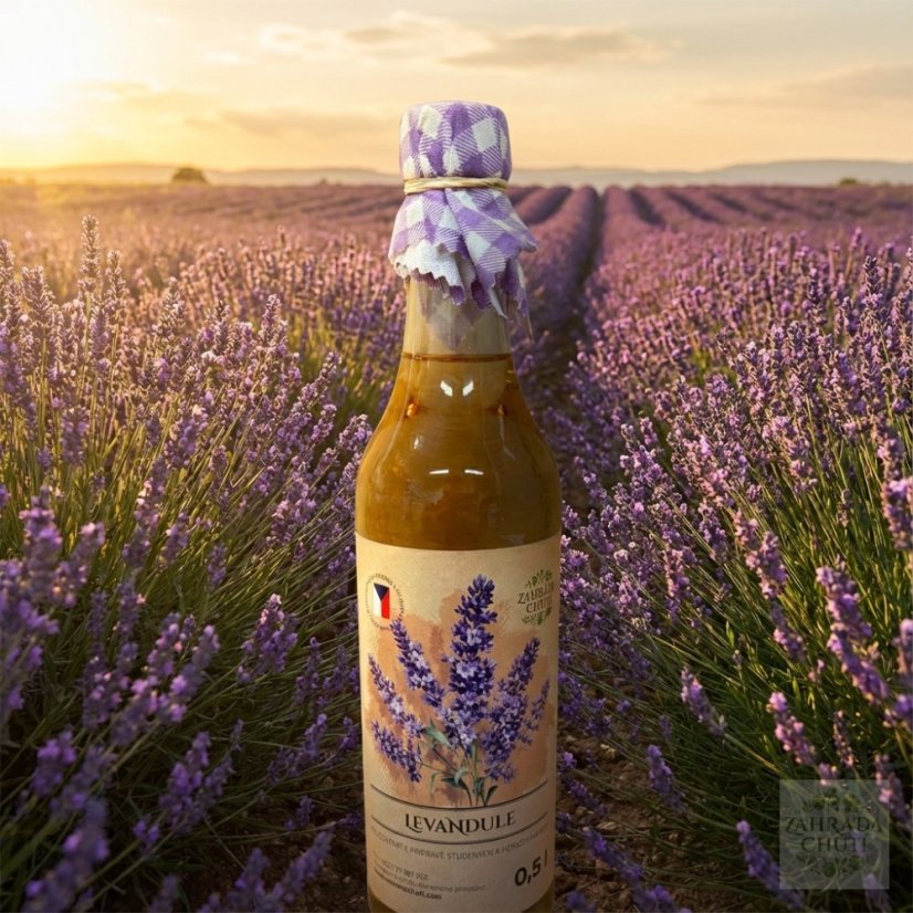 levandule sirup - zahradachuti.com