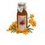 Rakytníkový sirup - zahradachuti.com