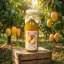 Mangový sirup - zahradachuti.com Mangový sirup - zahradachuti.com