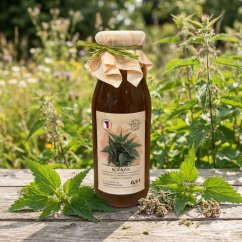 Kopřivový sirup - zahradachuti.com