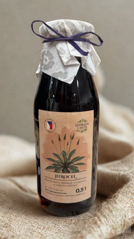 Přírodní jitrocelový sirup – Zahradachuti.com