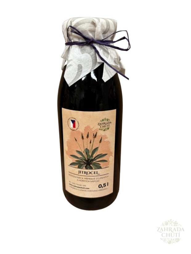 Přírodní jitrocelový sirup – Zahradachuti.com