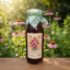 Sirup echinacea - zahradachuti.com
